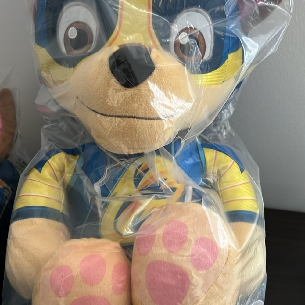 Large Paw Patrol